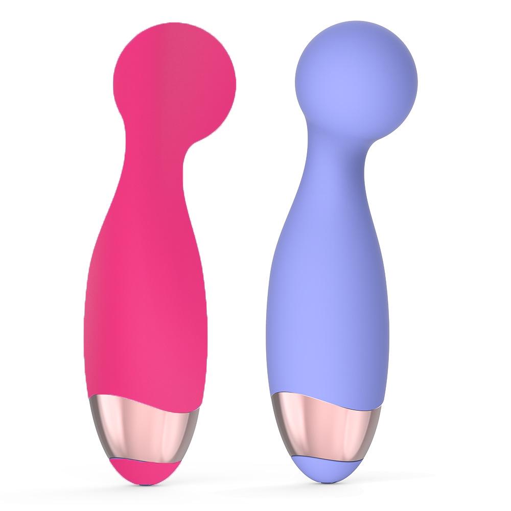 Portable Rechargeable Vibrator Set: Mini AV Vibrator & Teasing Egg for Women