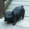 Simulation Pig Figurine Ornaments Garden Decoration Accessories Pig Resin Sculpture Model Handicraft Home Living Room Decor Gift