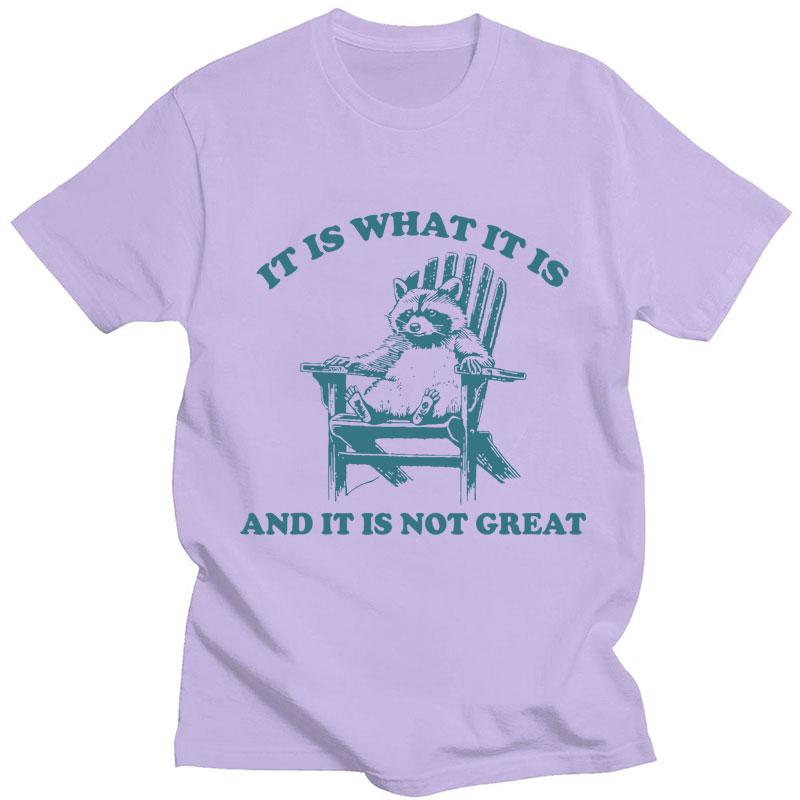 It Is What It Is and It Is Not Great Raccoon Meme T-Shirt Funny Opossum Popular Tshirt Unisex Fashion Cotton Casual Short Sleeve