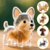 Dog Hair Memorial Keepsake Capsule Puppy Hair Collector Keychain Ornament Pet Hair Memorial Box Pet Fur Souvenirs Boxes
