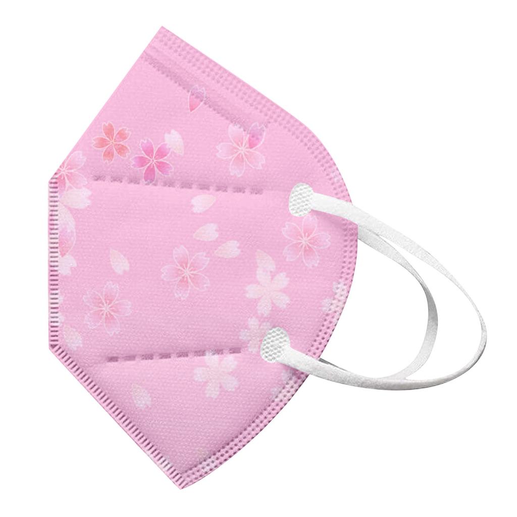 Adult High-Density Mask Wind Mist Pollution Filter