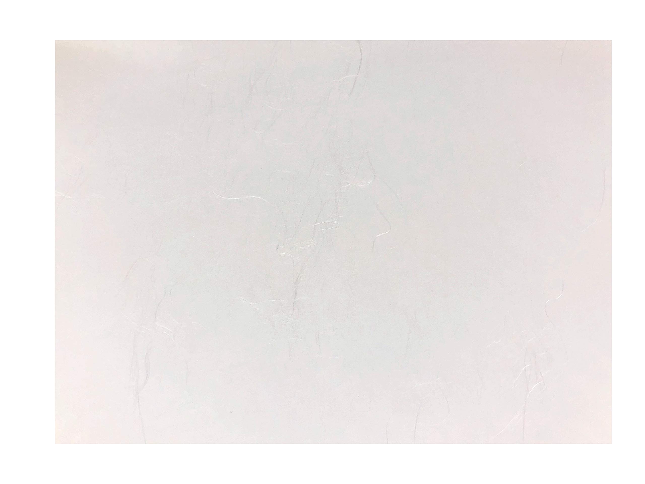 

Kamitowa Goshuin Writing Paper Sheets per Unryu Tairei Paper (Temple Stamp) (100 Set) (White) (Facing Size) белый