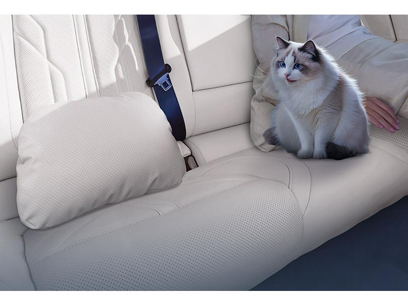 Haval Big Dog PLUS Car Headrest & Lumbar Support Pillow Set