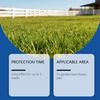 Mole Ball High-Efficiency Mole Effectively Mole Population In Gardens Reduces Mole Population Long-Term Effective Mole.