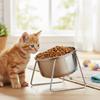 Anti-Tipping Stainless Steel Cat Bowl Fall-Resistant Elevated Cat Food Bowl Pet Supplies