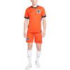 Nike Netherlands Men's Team 2024/25 Stadium Home Men's Nike Dri FIT Soccer Replica Jersey FJ4276-819