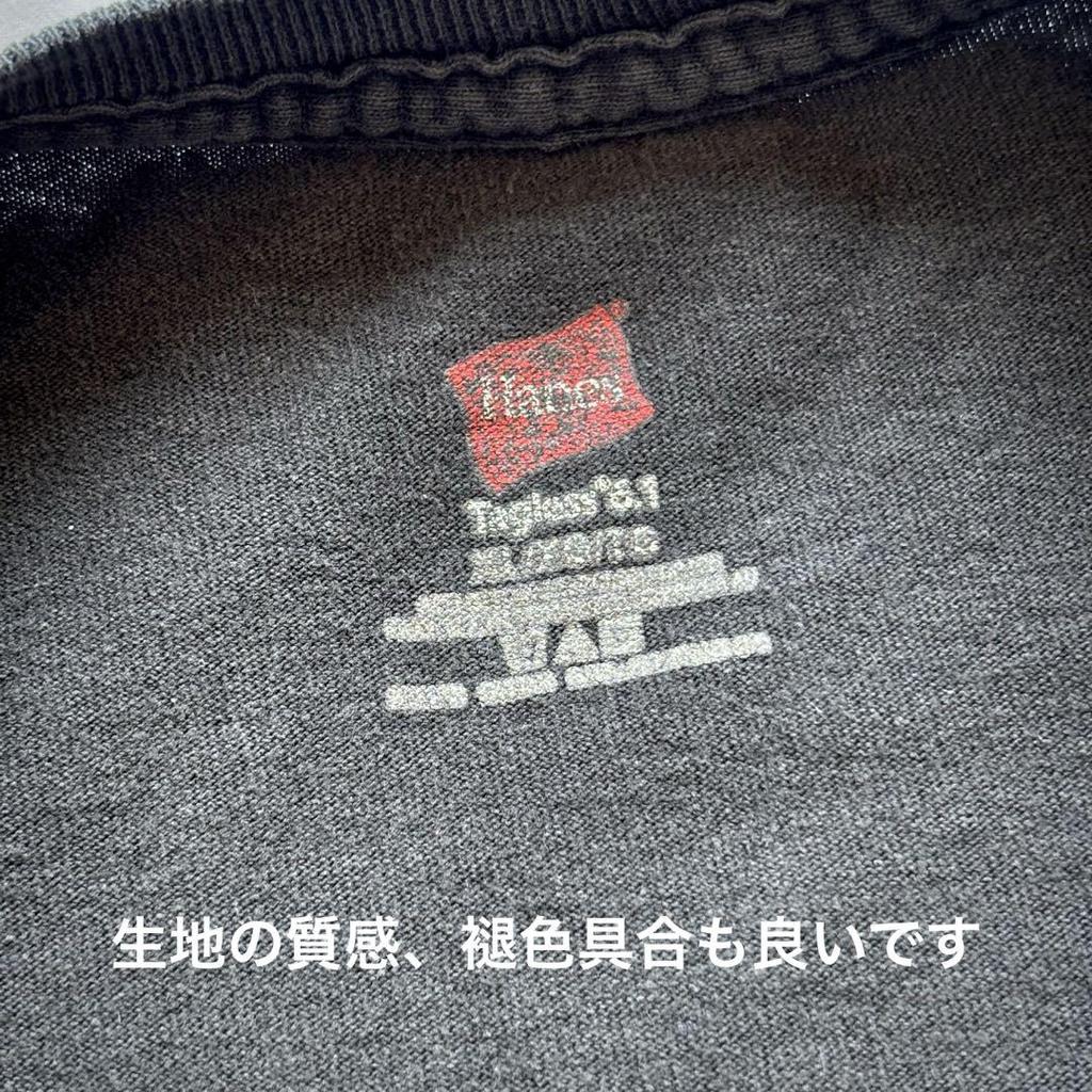 [USED] LED ZEPPELIN Led Zeppelin Band HANES T-shirt Good Color