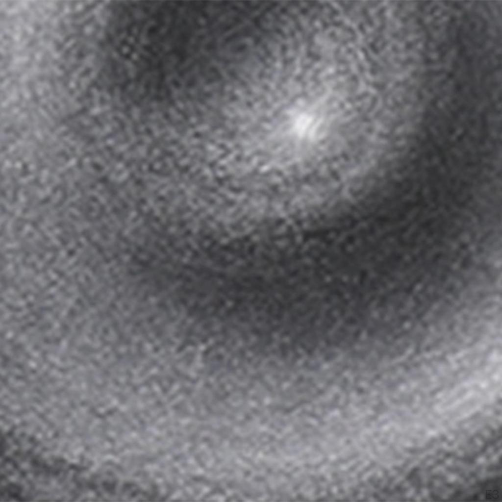 Coaster Insulation Mat Diatomaceous Earth Versatile Practical Desk Pad Cup for Bowl Teapot