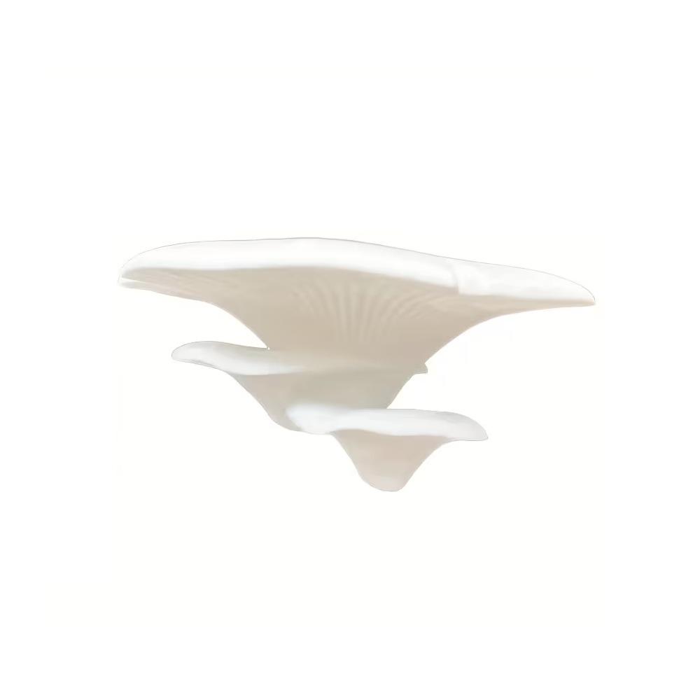 

3D Printed Small Mushroom Stand Wall-Mounted Mushroom Ornament Mushroom Shelf Home Decoration білий