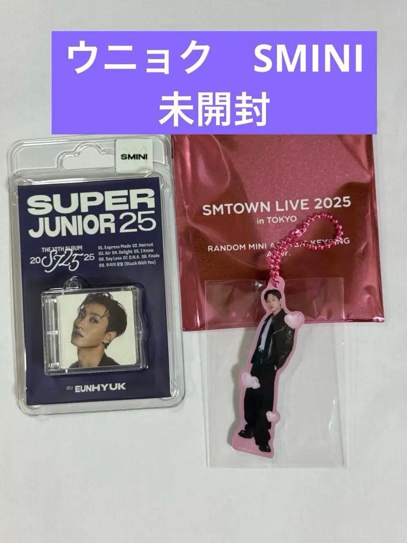 

[USED] SuperJunior 25 SMini Eunhyuk SMTOWN Keychain