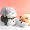 MINISO Stofftiere & Kissen