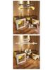 Compact Indoor Cat Villa: Integrated Bed, Toilet, and Play Area - Space-Saving Design for Apartment Living
