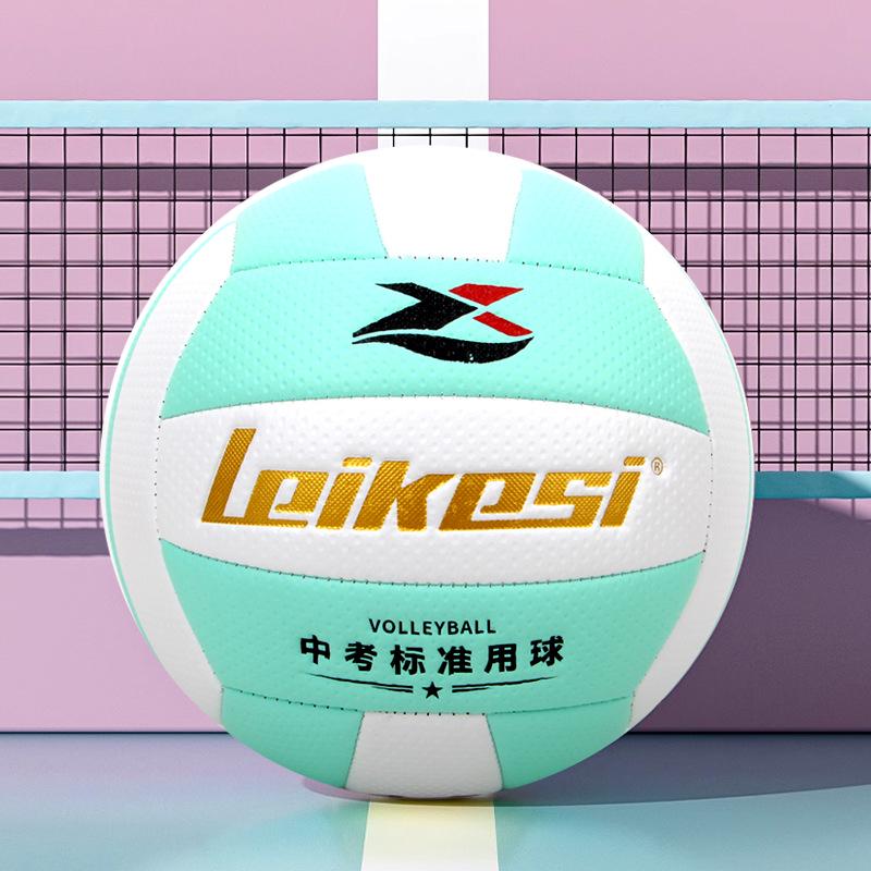 Rex Volleyball Size 5 for Junior High Entrance Exam & School Competition, Machine Sewn, Soft Beach Training Volleyball