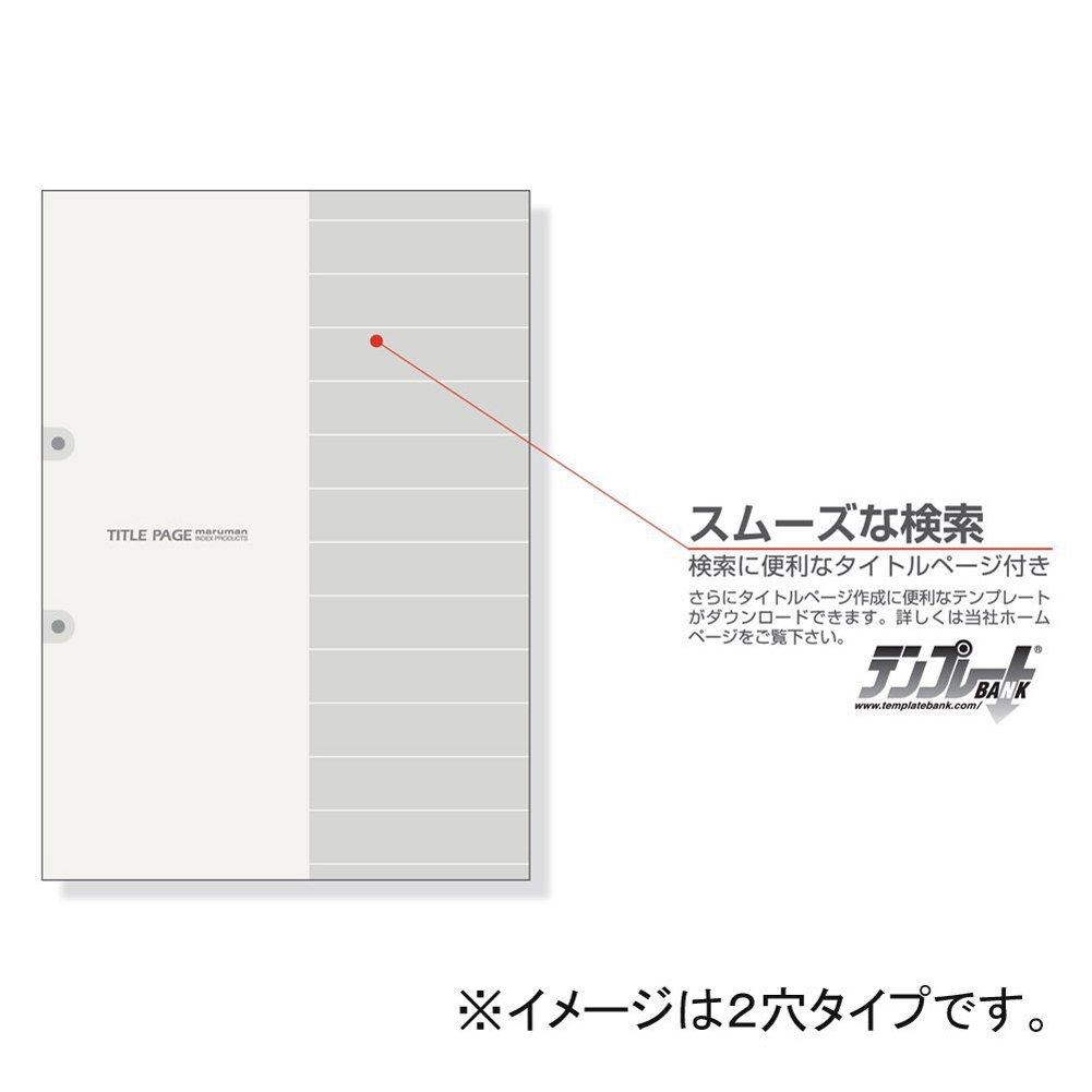 Maruman Index B5 26-Hole (2-Hole Compatible) Index Sheets, 12 Tabs, 10 Sheets per Set, LT5012