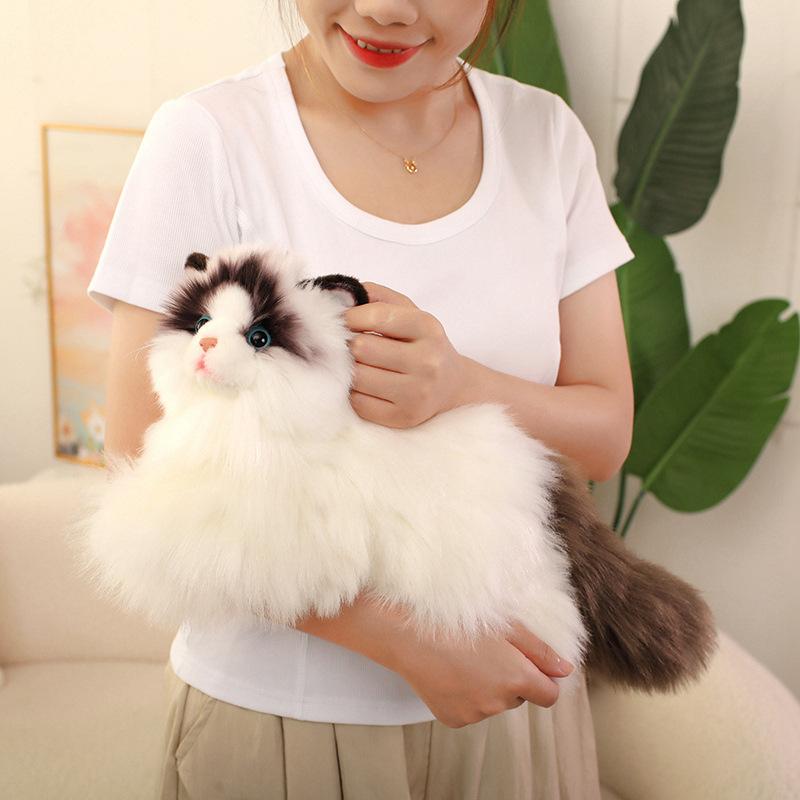 Simulated Ragdoll Cat Doll Sleeping Pillow Doll Doll Kitten Plush Toy Children's Birthday Gift Girl