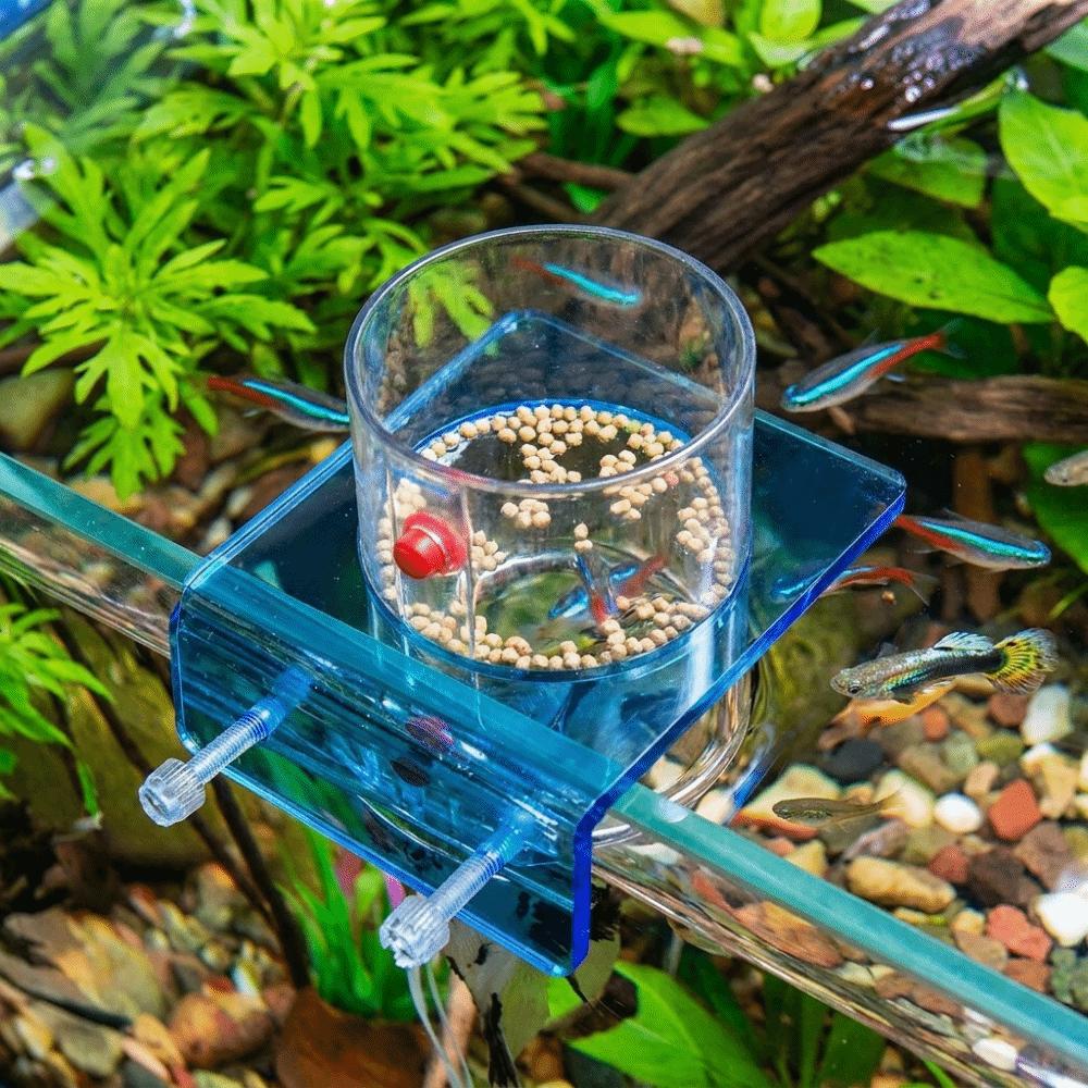 Plastic Fish Feeding Ring Wall-mounted Fish Feeding Basin Aquarium Feeding Bowl Food Dispensing
