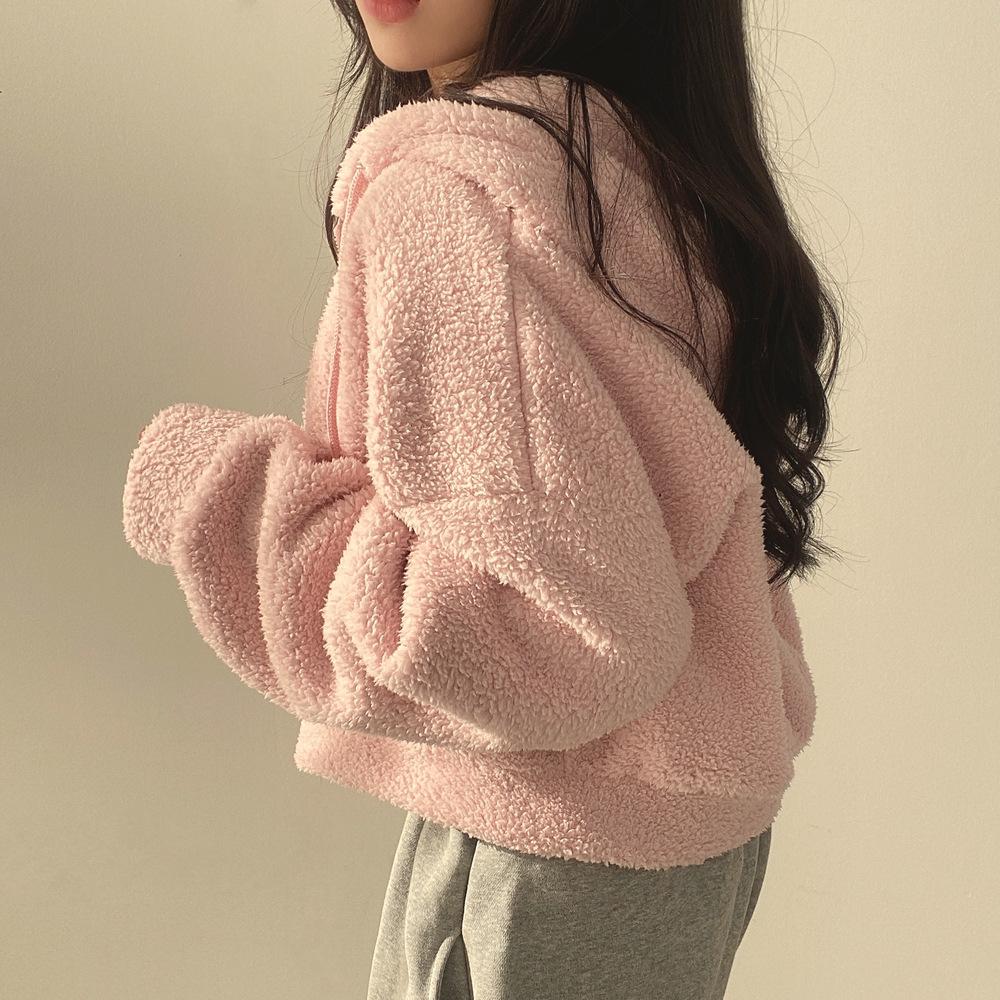 Sherpa Hoodie Women Autumn Winter Thick Warm Plush Jacket Short Zipper Hooded Coat Women