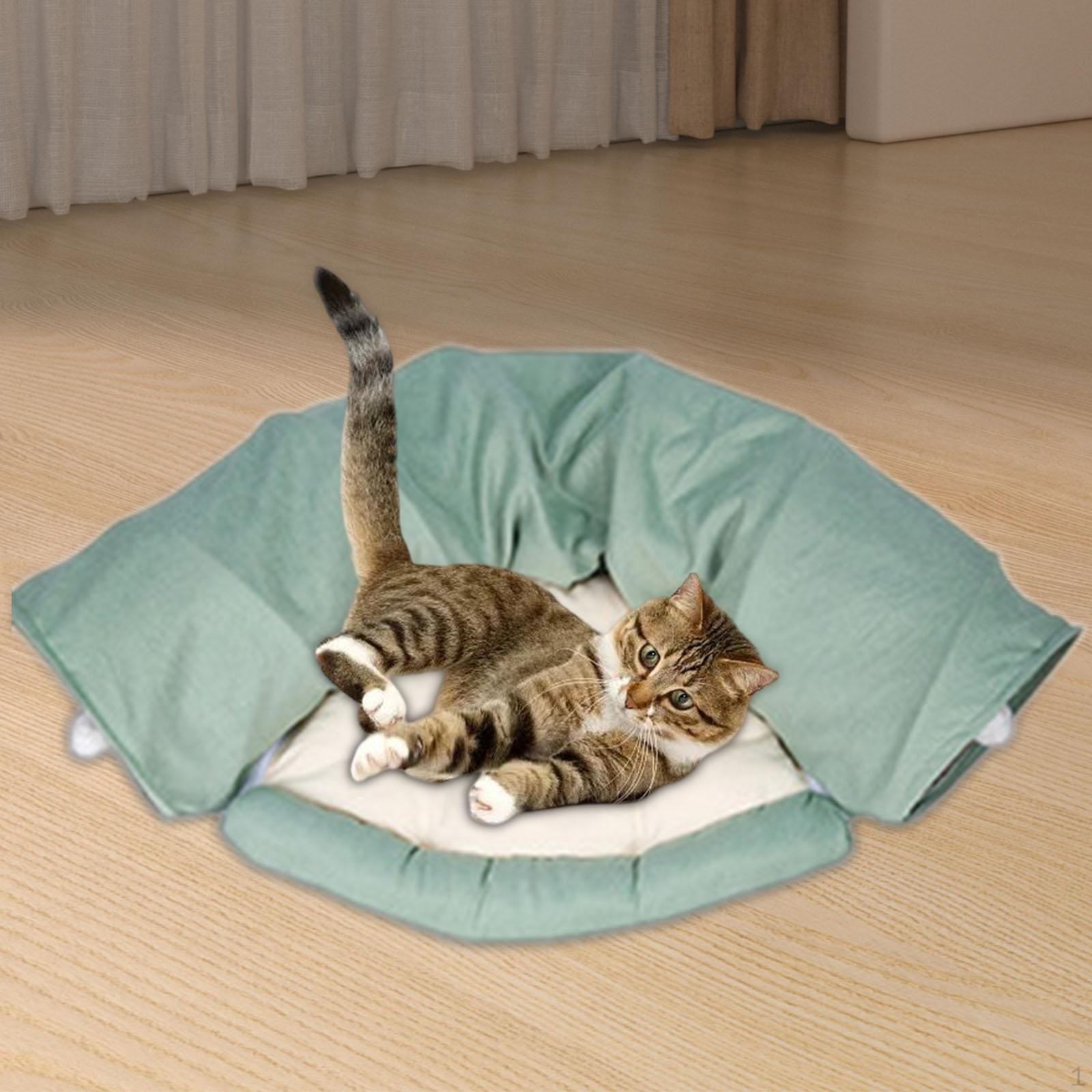 

Игровой туннель для кошек 2 в 1, игровой центр со съемным ковриком, интерактивный для собак, домашних животных, хомяков зелёный