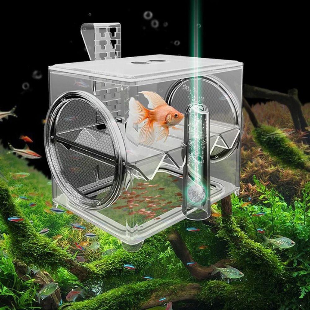 Pneumatic Fish Breeding Box Transparent Fish Isolation Box Suspended Incubator  Clownfish