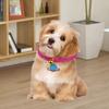 Puppy Collar Metal Buckle Bell Pendant Adjustable Small Dog Collar Pet Chain