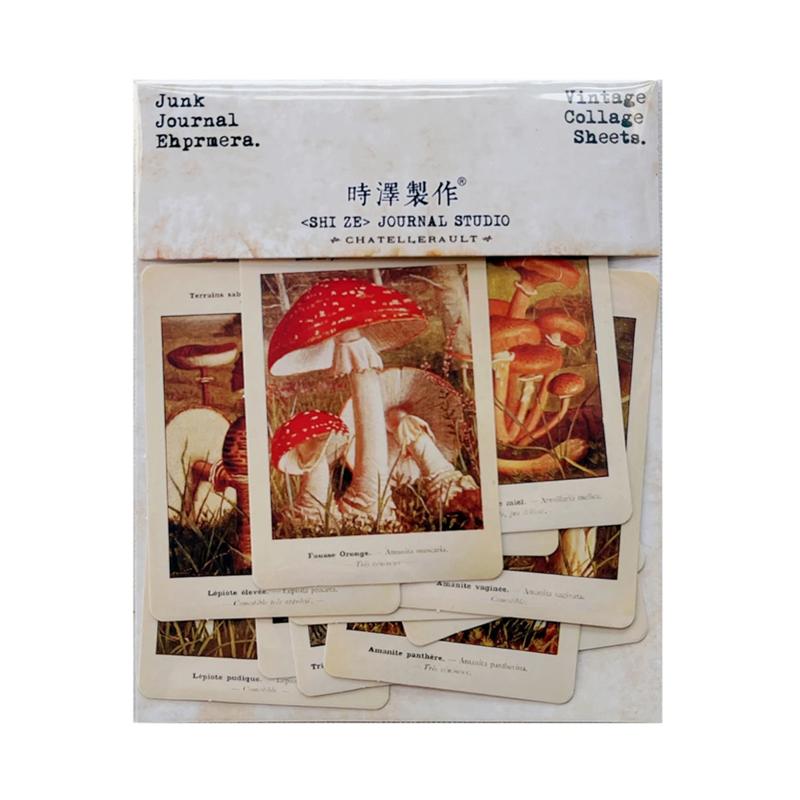 

Vintage Mushroom Illustrated TN Stickers Travel Journal Craft Paper Card Scrapbooking Craft Diary Album Decorative