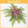 Plant Flower Succulent Cluster With Handcrafted Elements For Decor Indoor