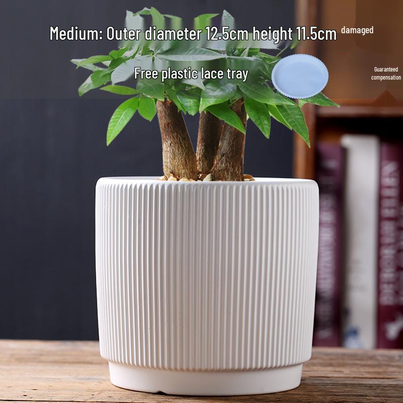 Elegant White Ceramic Flower Pot with Tray - Ideal for Ivy, Spider Plants, and Succulents