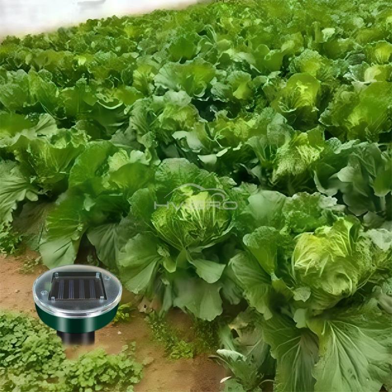 Solcelledrevet ultralyd, sonisk føflekk, skadedyr, gnageravstøtende, hage, utendørs lampe, bakgård, jordbruksland, mus,