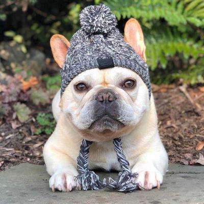 Autumn and Winter Fur Ball Warmth Windproof Fluffy Ball Knitting Method Dog Fighting Dog Hat Hot Sale New Pet Head Cover