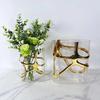 Clear Glass Vase Gold Edge Geometric Patterns of Gold Tracing Terrarium Hydroponic Flower Arrangement Flower Vase Home Decor