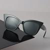 Cat Eye Sunglasses Women Men Vintage Stylish Mirror Minimalist Lens Sun Glasses Female Male Cool Personality