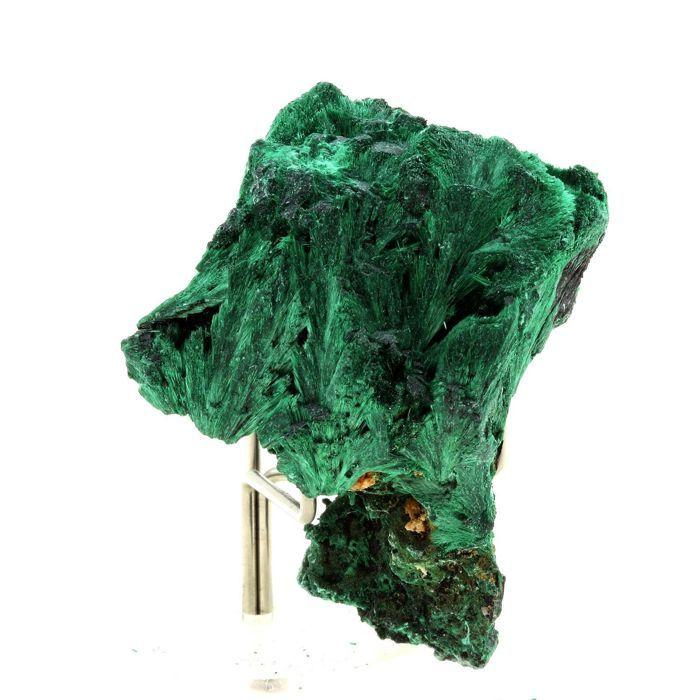 Pierres et Minéraux. Malachite. 397.0 ct. Mindingi Mine, Kambove, Katanga, Congo.