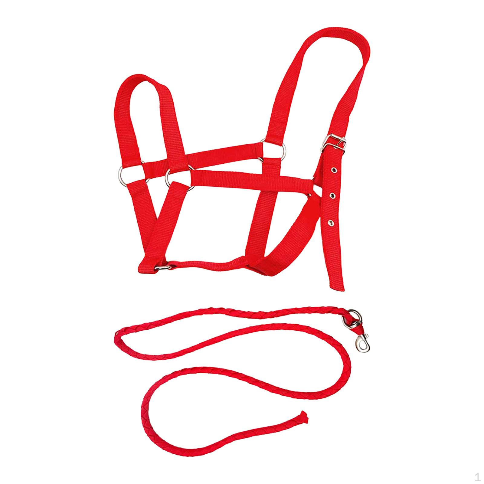 Halter Rope with Reins, Riding Accessories, Headstall, Horse Harness for Equestrian Sports красный