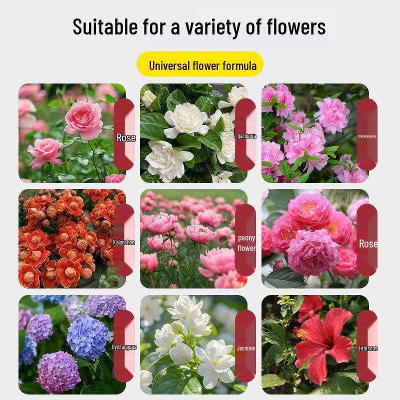 Flower Fresh Nutrient Solution: Extends Bloom, Enhances Color, Preserves Cut Flowers & Fertilizes Potted Plants and Water Cultures