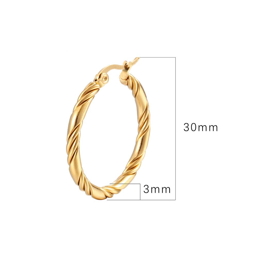 Twisted Wire Round Stainless Steel Earrings Trend Simple Personality Women's 316 Titanium Steel Ear Buckle Ear