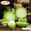French Ins Style Western Dish Green Cabbage Ceramic Plate Set Cute Dessert Cake Plate High Aesthetic Breakfast Dish