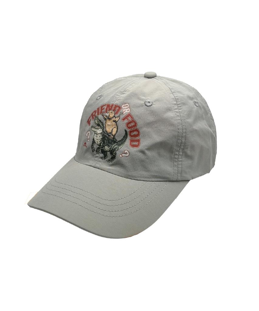 DRIFTOUT Dangerous Friendship Of Capybara Ball Cap (4 Colors)