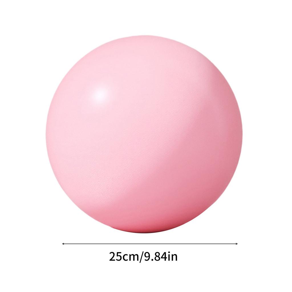 25cm 10Inch Pilates Ball Small Exercise Ball Mini Yoga Ball Gym Ball for Home Gym Pilates Yoga Balance Core Training