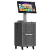 Pioneer LA-VF1028 Dual 8-inch Bass KTV Karaoke System (CN Version)