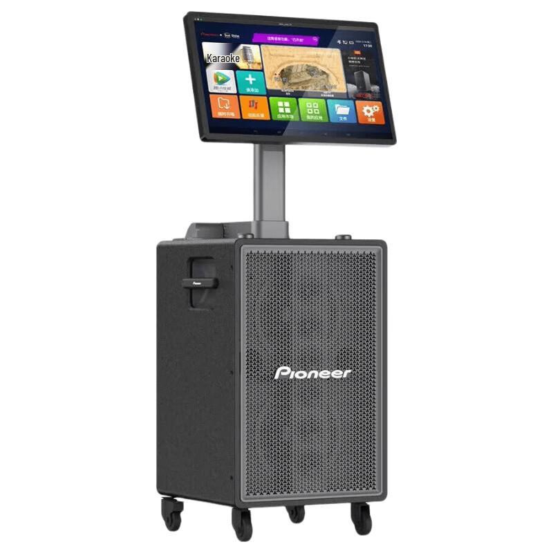 Pioneer LA-VF1028 Dual 8-inch Bass KTV Karaoke System (CN Version)