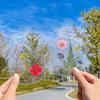 20PCS PET Bottle Shape Bookmark Transparent DIY Crafts Stationary Bookmark Waterproof Bookmark Scrapbook Sticker Plant Samples