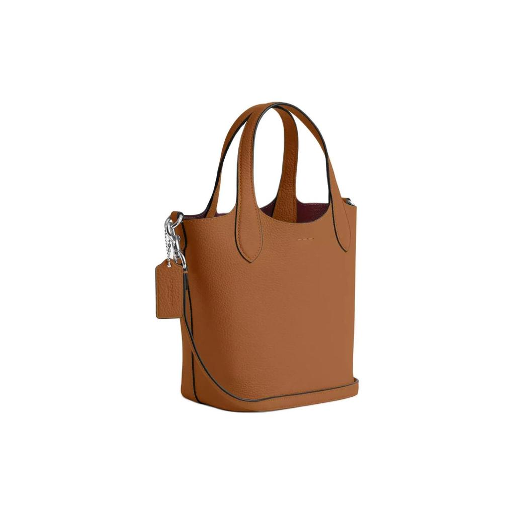 Coach Hanna Double Sided Leather Bucket Bag , Crossbody , One Shoulder Handbag Small Women's Silver Light Saddle (Unisex) Handbags