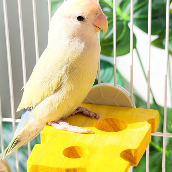 Ptačí bidýlko ve tvaru sýra, stojan na papoušky, dřevěný andulka, žvýkací bidýlko, broušení tlapek