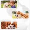 Squeaky Plush Dog Toy Tear-resistant Dog Chew Toy Cute Animal Shapes Dog Dental Cleaning Toy for Small Medium Large Dogs