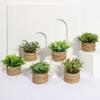 Green Artificial Plants Eucalyptus Grass Woven Small Potted Plants Grass Mound 11cm PE Material Home Decoration