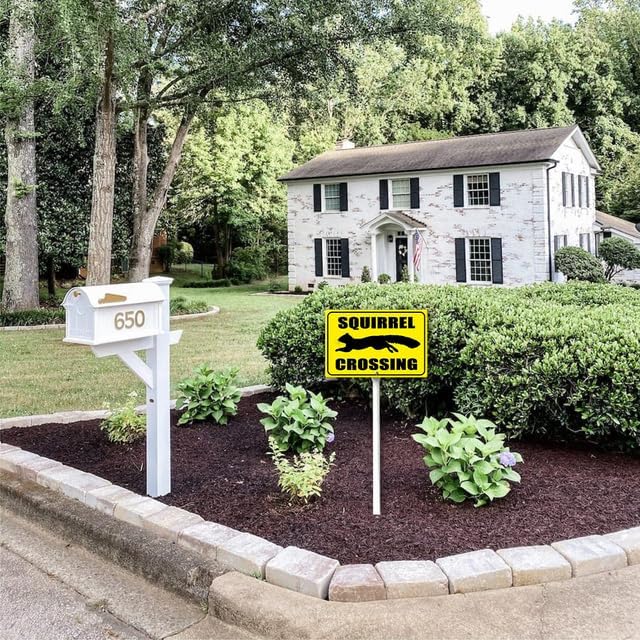Boylee Squirrel Crossing Yard Sign with Stake 12x8inch Rustproof Aluminum Sign Outdoor Aluminum Sign for Lawn Yard Garden Decor, Easy To Install,