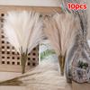 10 Units/Lot 55cm Cute Decoration Fake Flower Reed Plant Simulated Artificial Christmas Wedding Party Fluffy Reed Grass