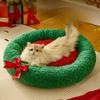 Cats Home New Style Christmas Pet Bed for Winter Warm Comfortable Non-Collapsible Semi-Enclosed Design Suitable for Cats Dogs