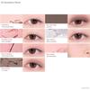 rom&nd Bare Layer Palette 14g (+Free gift)