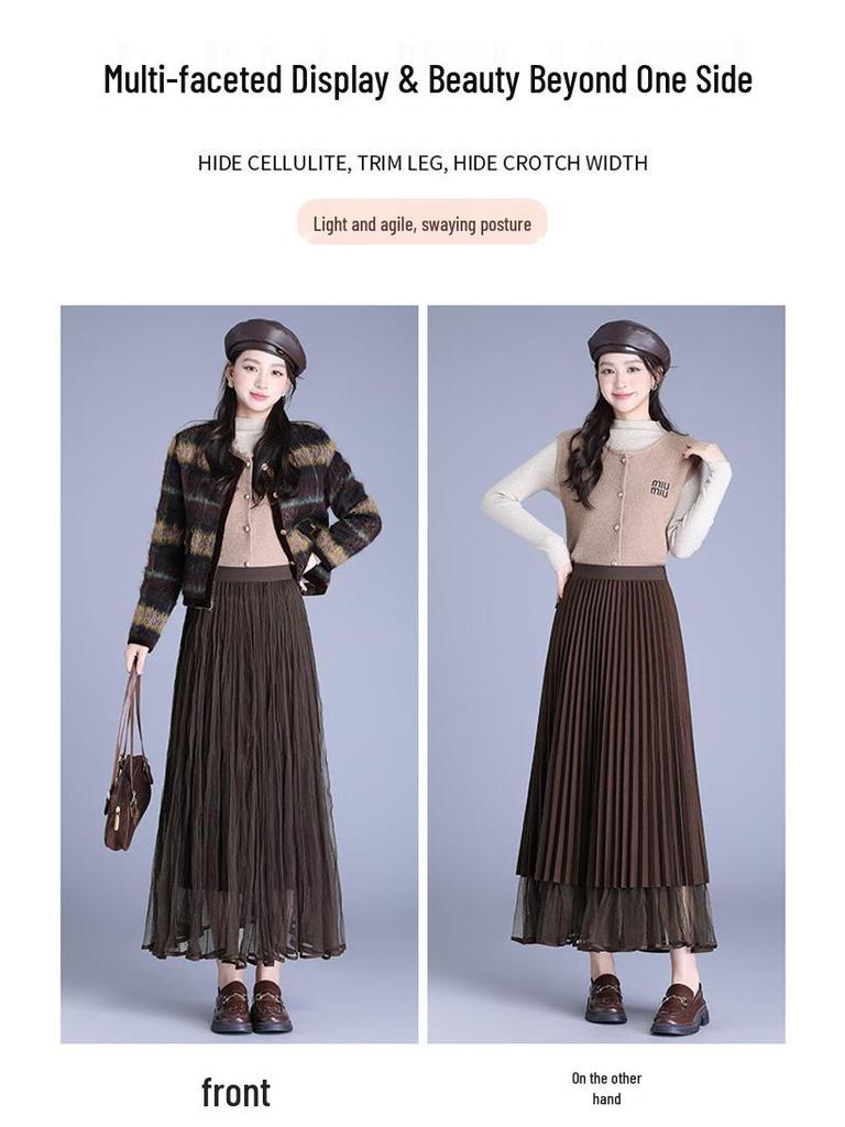 Winter 2025 Reversible Mesh Pleated Skirt with Elastic Waist